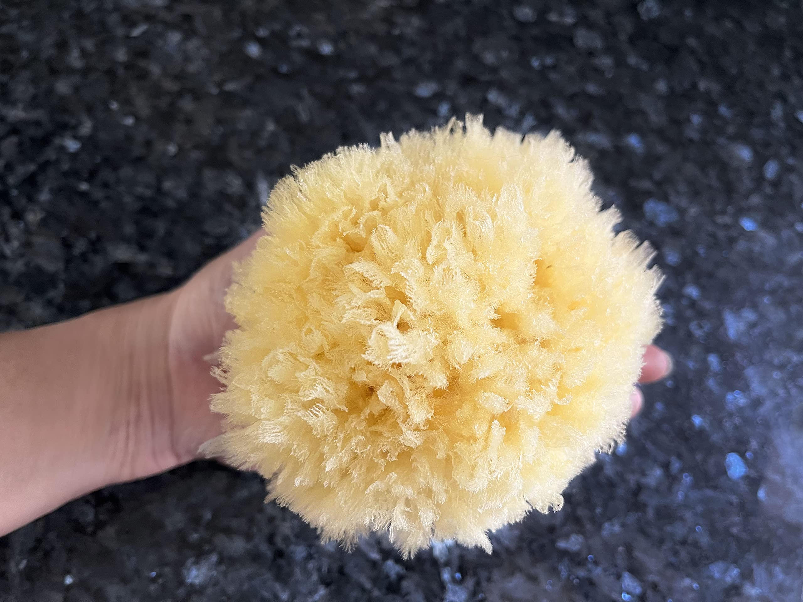 Real Sea Sponges for Babies - 6 Pk Bath Care Set, Gentle, Kind on Skin, for Bathing Washing Body Eyes, Ears Nose, Also for Newborn Toddler Kids; Baby Shower Spa Gift by Contented Infant®